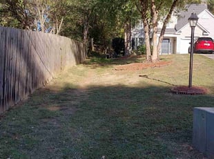 Cleanups by Mario Morris for Alex P. in Charlotte, NC