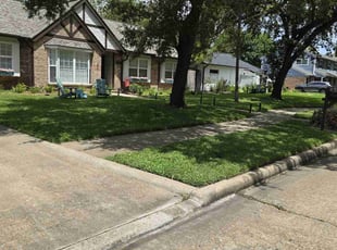 Travis F.'s Lawn Care service result