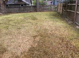 Cleanups by Stephen Cannon for Dean B. in Baton Rouge, LA