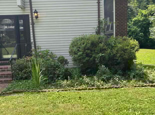 Bush Trimming by Steven Roberts for Mari S. in Fairfax, VA