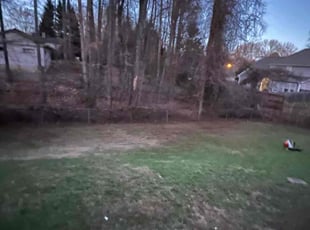 Leaf Removal by Crystal Stoutz for Lauren D. in Greensboro, NC