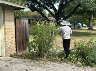 Cleanups by Lacy Dixon for Brenda O. in San Antonio, TX