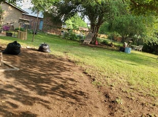 Leaf Removal by Armando Leza for Dawn B. in San Antonio, TX