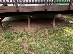 Cleanups by Miguel Rivera for Matthew S. in Manassas, VA