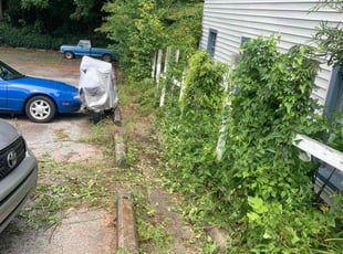 Bush Trimming by Taurus Coates for Tiffany T. in Decatur, GA