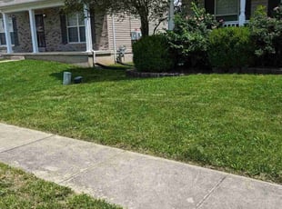 Marie T.'s Lawn Mowing Service service result