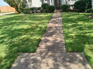 Carlos R.'s Lawn Maintenance service result
