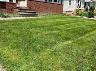 Leaf Removal by Rick Cale for Kelly W. in Parma Heights, OH