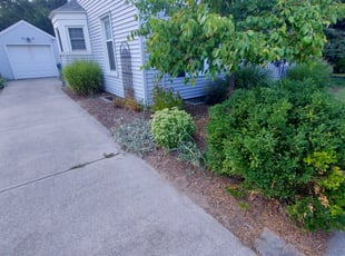 Weeding by Tyler Salter for Alex G. in Grand Rapids, MI