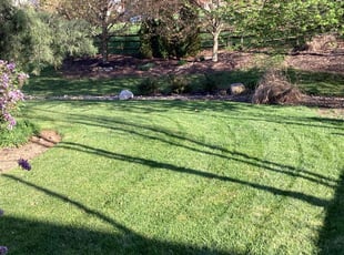 Dawn H.'s Lawn Care service result