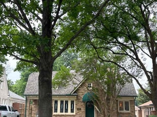 Kristy W.'s Lawn Care service result