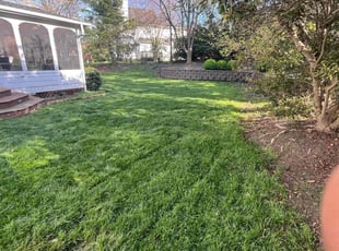Emily K.'s Lawn Maintenance service result