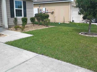 Pam H.'s Yard Cutting service result