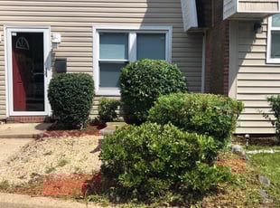 Bush Trimming by Kevin Whitbeck for Felnora K. in Virginia Beach, VA