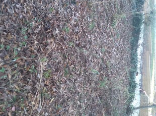 Cleanups by Jason Times for Marlina G. in Atlanta, GA