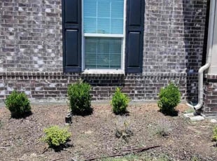 Weeding by Aureliana Luciano for Jacobey K. in Aubrey, TX