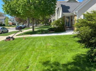 Ryan B.'s Lawn Care service result