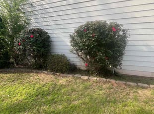 Bush Trimming by Ross Stevens for Robert U. in Woodstock, GA