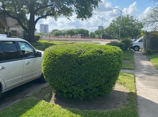 Bush Trimming by Jarvis Mumpfield for Sherryl S. in Houston, TX