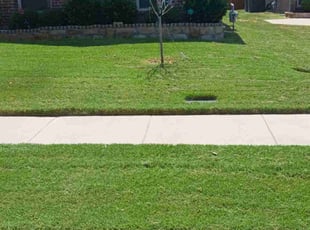 Gordon H.'s Lawn Care service result
