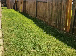 John P.'s Lawn Service service result
