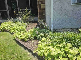 Weeding by Amy Gribben for Peggy K. in Pottstown, PA