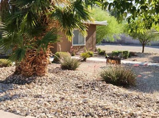 Bush Trimming by Lamont Johnson for Jason B. in Las Vegas, NV