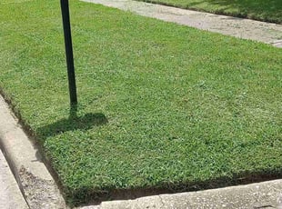 Corey O.'s Lawn Maintenance service result