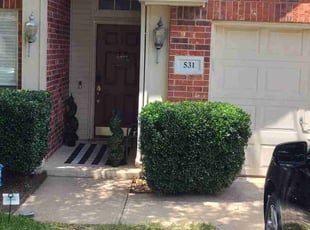 Bush Trimming by John Payton for Randall C. in Cedar Hill, TX