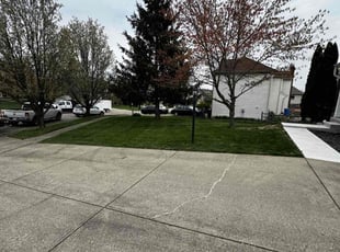 Kevin M.'s Lawn Maintenance service result