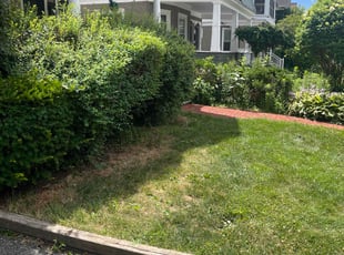 Bush Trimming by Rick Cossart for Bernice R. in Schenectady, NY