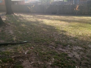 Cleanups by Demetrius Curry for Laney S. in Tulsa, OK