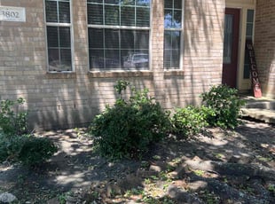 Bush Trimming by Nicole Ross for Jessica D. in Fresno, TX
