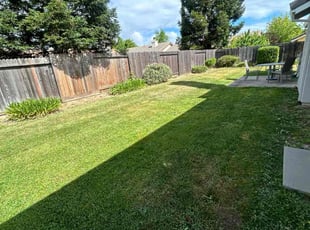 Harvey B.'s Yard Cutting service result
