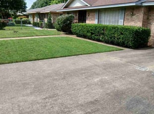 Aimee m.'s Lawn Care service result