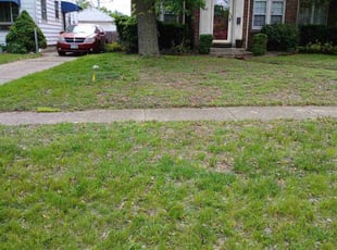 Cleanups by Tyrone Mitchell for Dan R. in Toledo, OH