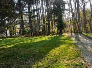 KYLE M.'s Lawn Mowing Service service result