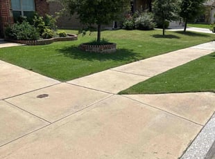 Gene S.'s Lawn Mowing service result