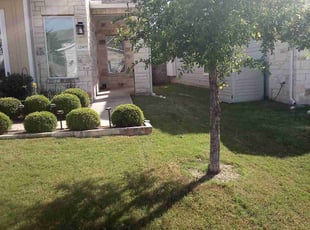 Miranda S.'s Lawn Service service result