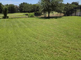 Ed C.'s Lawn Mowing service result