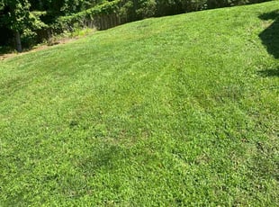 olend w.'s Grass Cutting service result