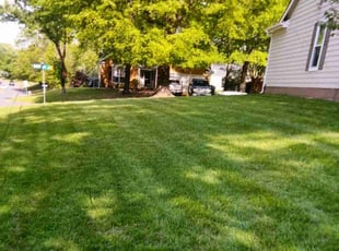 Khamta S.'s Lawn Maintenance service result