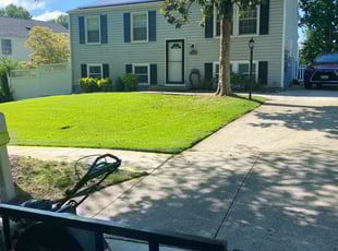 Leaf Removal by Norman Blanchard for Ms. T. in Clinton, MD