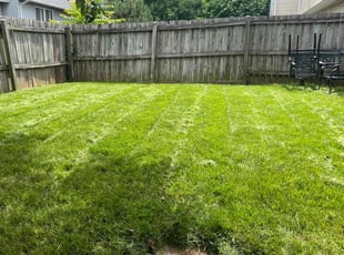 Tyler B.'s Lawn Care service result
