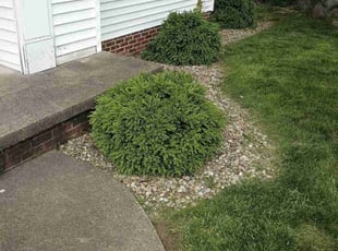 Weeding by William Miller for Paul M. in Stow, OH