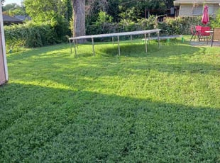 Peter C.'s Lawn Mowing Service service result