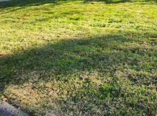 Leaf Removal by Andrew Quasny for Brian M. in Glen Burnie, MD