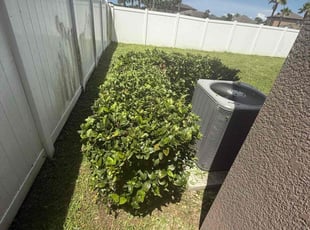 Bush Trimming by Arely Elrod for Justin H. in Ruskin, FL