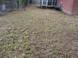 Leaf Removal by Rob Burland for Stephen U. in Newport News, VA