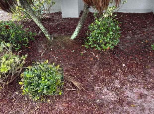 Cleanups by Harold Cummings for Andrew P. in West Melbourne, FL